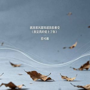 就连那风都知道我很难受（我是真的爱上了你)