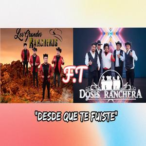 Desde que te fuiste