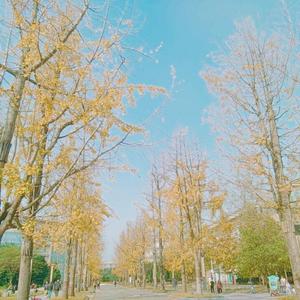 之南（录音室版）