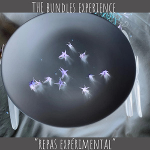 PLAT PRINCIPAL, Pt. 2