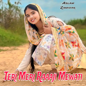 Teri Meri Raaaji Mewati