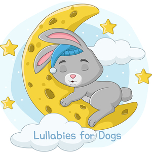 지붕 위의 별 (밤풀벌레소리)