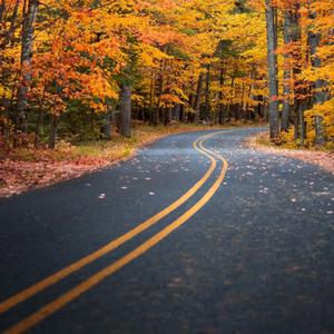 jaded. (feat. Kiddamo)