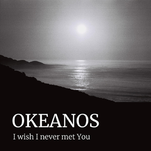 I Wish I Never Met You