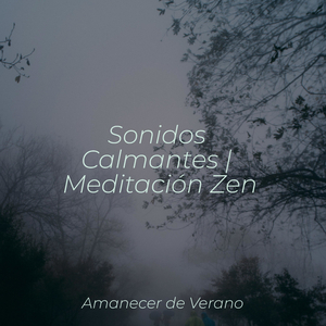 Rapsodia Inmortal de Felicidad