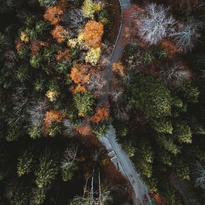 徐良-坏女孩（长青 remix）