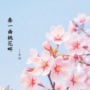 奏一曲桃花畔