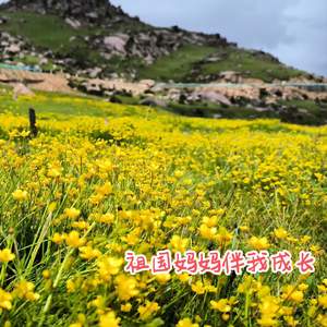 祖国妈妈伴我成长