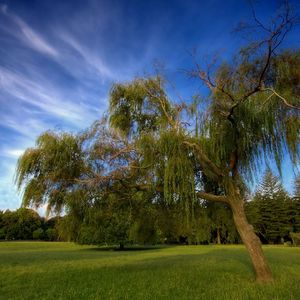 让我最后一次牵你的手