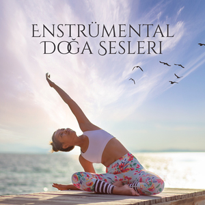 Yağmur Fırtınası Gürültü