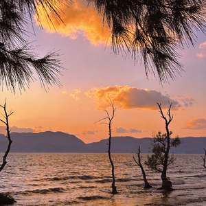 那年的落日晚风