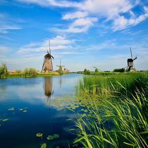 Names On the Windows