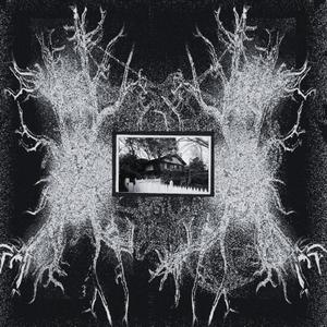 Sensação da Presença - 呪いはウイルスのように広がる可能性がある