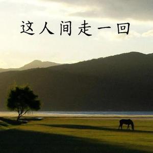 这人间走一回 (Cover DJ大梦儿)