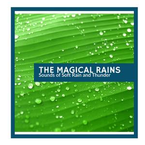 Overnight Moderate Rain