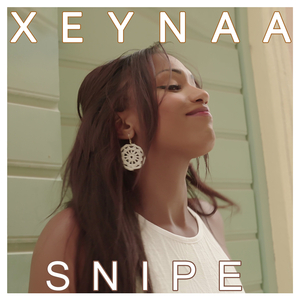 Snipe