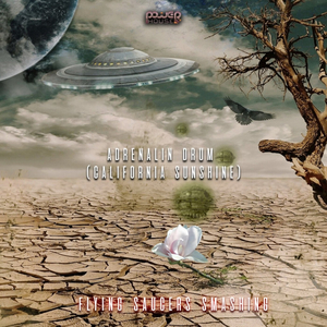 Flying Saucers Smashing (Original Mix)