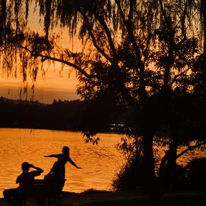 Éphémères（蜉蝣）