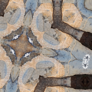 The bad and the ugly, we must not shun