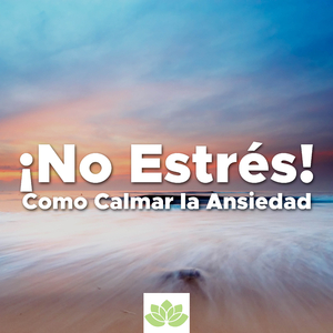 Dormir - Entrenamiento Autógeno (Stress Relief)