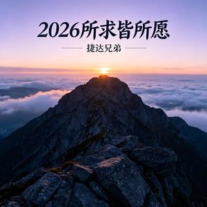 2026所求皆所愿