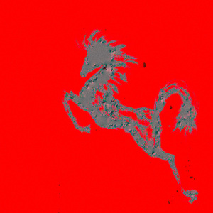 the lonely myctophidae