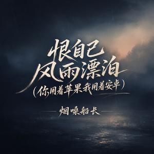 恨自己风雨漂泊(你用着苹果我用着安卓)