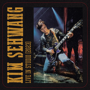 Chasing the Moonlight (Live)