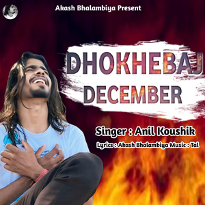 Dhokhebaj December