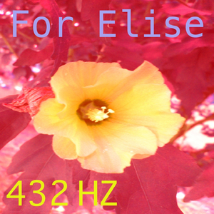 For Elise, WoO 59