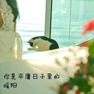 你是平庸日子里的暖阳 (伴奏)