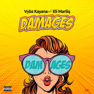 Damages (feat. Eli Marliq)