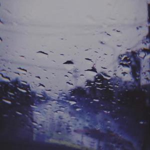 沉默的狗