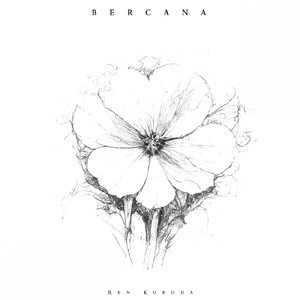 雪と星の煌めき