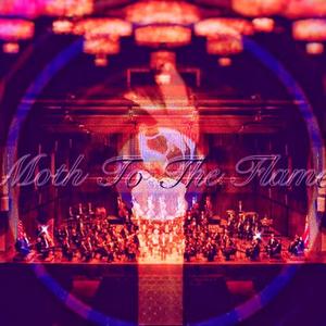 Moth to the flame（飞蛾扑火）