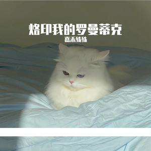 最后一个拥抱