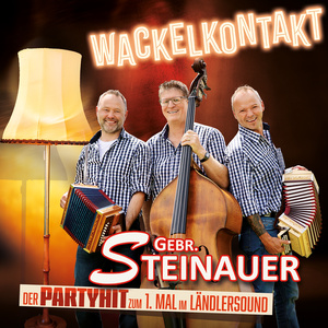 Wackelkontakt