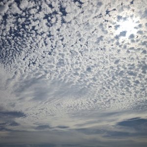 舟渡重山