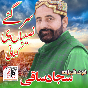 Sarr Gaye Naseeba De Kahani