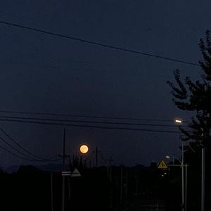 Up Till Dawn（Nicky11 Bootleg） 伴奏