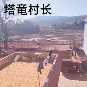 抽烟只抽炫赫门