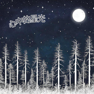 心中的星光