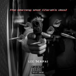 The Warning Shot (Zarah's Diss)