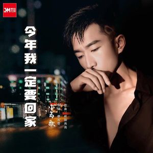 今年一定要回家 DJ伴奏