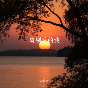 离别后的我