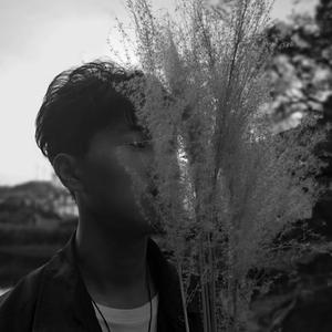 董小姐（cover宋冬野）（翻自 宋冬野）