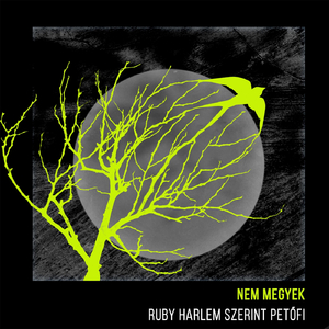 Nem Megyek (feat. Szerint Petőfi)