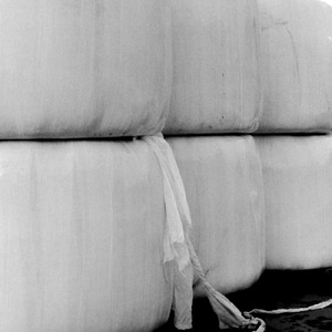 siren (feat. hyunis1000)