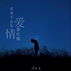 你说不会在爱情里犯错