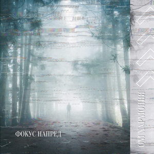 Внимателни Асани